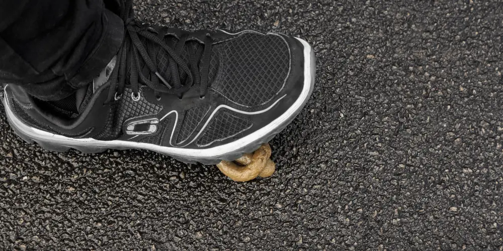 how to get dog poop off running shoes