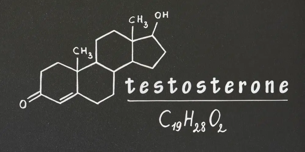 testosterone